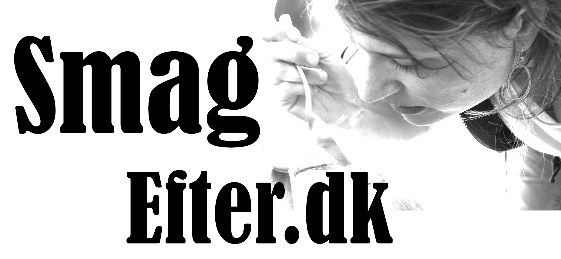 SmagEfter.dk Logo
